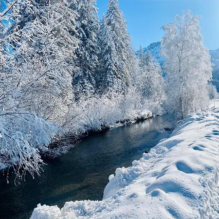 Alpstuga Near Gstaad