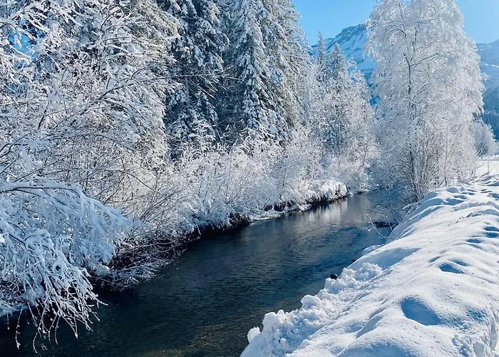 Alpehytte Near Gstaad